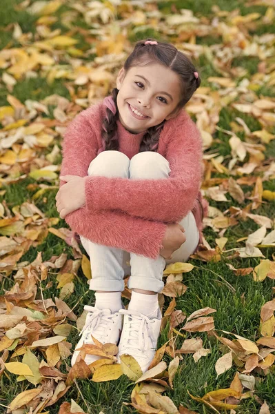 Lycklig liten flicka i höst skog. Små barn med höstlöv. Höstlöv och natur. Lycklig barndom. Skoltid. Trendiga skönhet. Bra humör i alla väder. Njuter av höstdag — Stockfoto