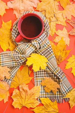 Kupa rahat aromatik çay içecek ve eşarp. Coziness ve zevk. Sonbahar yürüyüş için sıcak bir içecek. İçecek ısınma. Eşarp kırmızı arka plan düşmüş akçaağaç yaprakları ve köknar koniler ile çevrili çay bir fincan