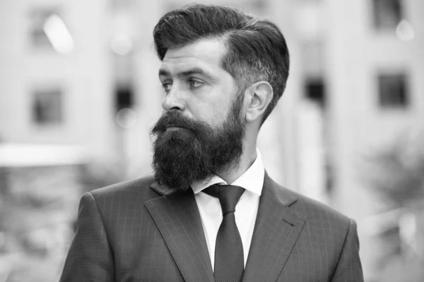 La vita professionale. Uomo elegante uomo d'affari. Successo e motivazione per il successo. Uomo d'affari barbuto indossare abito alla moda. Uomo d'affari ben curata barba acconciatura. Concetto aziendale. Sentitevi sicuri — Foto Stock