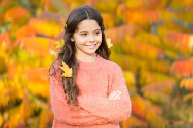 Yumuşak sonbahar havası. Mutlu küçük çocuk, dışarıda keyfi yerinde. Küçük çocuk sonbahar günü temiz havada oynar. Neşeli bir ruh hali. Sonbahar havası ayarlanıyor