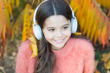 Ses dosyası. Eğitici podcast. Mutluluğu hisset. Küçük kız kulaklıklarla sonbahar ağacının yanında dinleniyor. Sonbahar sıcacık havası için müzik. Dinleme şarkısı. Sonbahar şarkı listesi konsepti. Açık havada müziğin tadını çıkar.