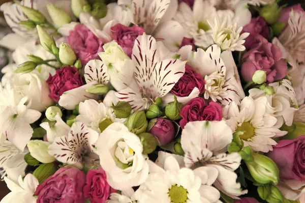 Texture bouquet de fleurs naturelles fraîches. Joyeuses fêtes. Service de livraison de fleurs. Service fleuriste. Décoration de fleurs. Parfum de roses ranunculus orchidées et fleurs de camomille. Contexte botanique — Photo