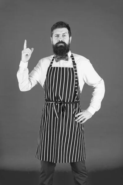 Я знаю все про приготування їжі. Бородатий кухар готує. Хіпстер готує будинок або ресторан. Сучасна концепція кафе. Готуємо сучасні страви. Чоловік з бородою готує гіпсовий фартух. Шеф кухар готує червоний фон — стокове фото