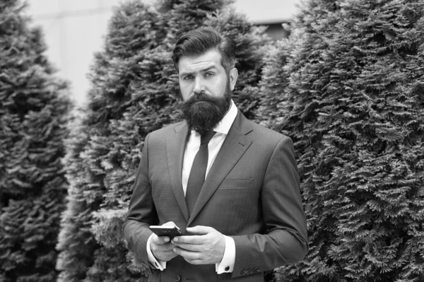 Check messenger. Business life. Man stylish businessman. Successful and motivated for success. Business man bearded wear suit. Businessman well groomed hairstyle. Business concept. Feel confident