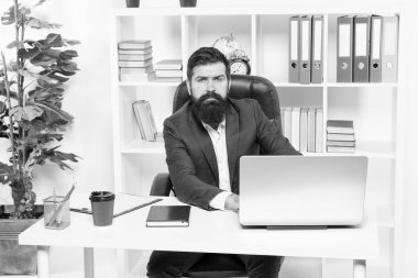 Ofis personeli kavramı. Ofis rutini. İş çözümlerinden sorumlu işadamı. İş stratejisi geliştirmek. Riskli bir iş. Adam sakallı patron dizüstü bilgisayar ile oturup. Yönetici iş sorunlarını çözme