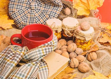 Bir fincan çay eşarp kırmızı arka plan düşmüş akçaağaç yaprakları ve ceviz ile çevrili. Rahat sonbahar atmosferinin keyfini çıkarın. Sonbahar kova liste kavramı. Kupa rahat aromatik çay içecek eşarp ve muamele etmek