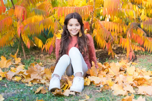 Sonniges Wochenende. Herbstlich warm. Stylisch lächelndes Mädchen in einem herbstlichen Park. Gefallene Blätter. Herbstliche Natur. Glückliches kleines Kind im Freien spielt mit Blättern. Mädchen sitzen entspannt im Park sonnigen Tag. Schöne Jahreszeit — Stockfoto