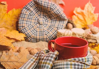 Sonbahar kova liste kavramı. Kupa rahat aromatik çay içecek eşarp ve muamele etmek. Rahat sonbahar atmosferinin keyfini çıkarın. Eşarp kırmızı arka plan düşmüş akçaağaç yaprakları ve ceviz ile çevrili çay bir fincan