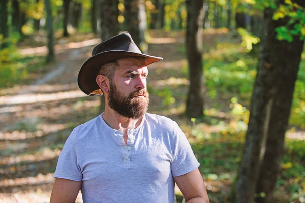 Estilo vaquero. hombre hipster relajarse en el bosque de otoño. Primavera tiempo soleado. camping y senderismo. macho maduro con mirada brutal. Hombre barbudo con sombrero de vaquero caminar en el parque al aire libre. hipster brutal grave — Foto de Stock