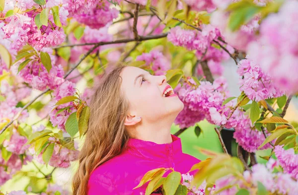 Sakura virág koncepció. Pompás virág és női szépség. Természetes kozmetikumok a bőr. Lány cseresznyevirág. Sakura fa virágzó. Kis lány gyermek tavaszi virág virágzik. Élvezze az illata pályázat virágzás — Stock Fotó