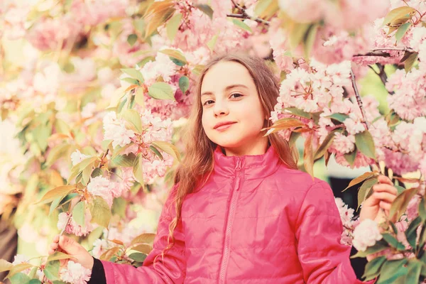 Na potřebou. Přírodní kosmetika pro kůži. malá holčička v jarním květu. šťastná dívka v třešňově květině. Kvetoucí strom Sakura. vůně, alergie. letní prázdniny. Dětská krása. Horké léto — Stock fotografie