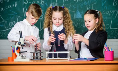 Resmi eğitim. Okul laboratuarı. Grup öğrencileri kimyasal sıvılar üzerinde çalışıyor. Kızlar ve erkek öğrenciler sıvılarla okul deneyi yapıyorlar. Okulun kimya dersi. Madde içeren test tüpleri