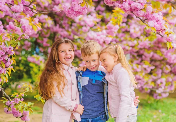 Feliz vacaciones de primavera. Chicas y amigos posando cerca de Sakura. Niños sobre flores rosadas de sakura fondo de árbol. Niños disfrutando de sakura de flor de cerezo. Los niños disfrutan de la primavera. Perdido en flor — Foto de Stock