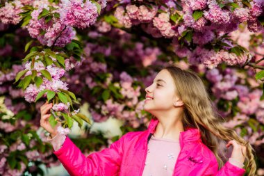 Bahar zamanı cilt için doğal kozmetik ürünleri. Bahar çiçeğindeki küçük kız çocuğu çiçek açar. Kiraz çiçekli mutlu kız. Sakura ağacı çiçek açıyor. Çiçek kokusu, alerji. Yaz. Çocukluk güzelliği