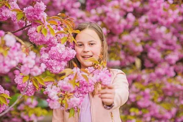 Dziecko na różowe kwiaty Sakura drzewo tło. Lekarstwo na alergie. Dziecko cieszyć się życiem bez alergii. Wąchania kwiatów. Dziewczyna ciesząc się kwiatowym aromatem. Koncepcja alergii pyłku. Kid cieszyć Cherry Blossom Sakura — Zdjęcie stockowe