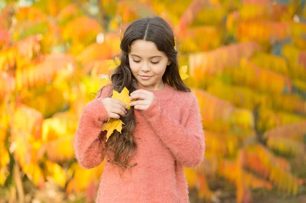 Bellezza naturale. La bambina indossa foglie autunnali nei capelli naturali. Bambino piccolo sul paesaggio naturale. Natura idilliaca d'autunno. Cosmetici naturali — Foto Stock