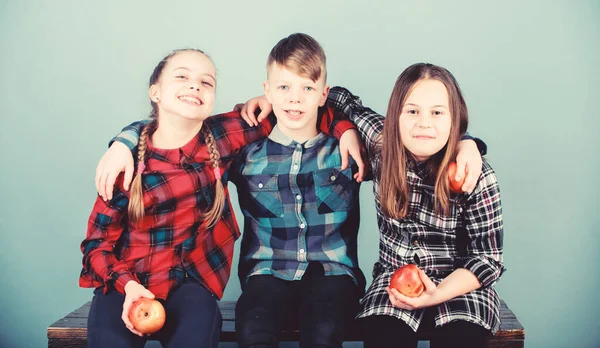 Мальчик и девочки в похожей клетчатой одежде едят яблоко. Подростки со здоровой закуской. Здоровое питание и витамины. Ешьте фрукты и будьте здоровы. Дети друзей обнимают друг друга. Здоровый образ жизни — стоковое фото