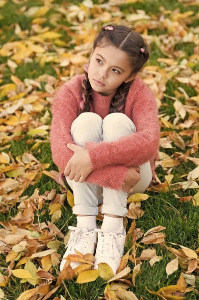 Infância atenciosa. Hora da escola. Menina feliz na floresta de outono. Folhas de outono e natureza. Beleza da moda. Criança pequena com folhas de outono. Sinto-me confortável. Não chova mais. Perdido em pensamentos — Fotografia de Stock