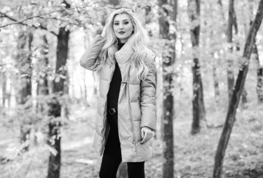 Satın almak için en iyi kirpi kat. Nasıl rock yıldızı gibi kirpi ceket. Kirpi balığı moda kavramı. Kıyafet kanıtlamak kirpi ceket şık bakabilirsiniz. Ceketler herkesin olmalı. Kız moda sarışın parkta yürümek