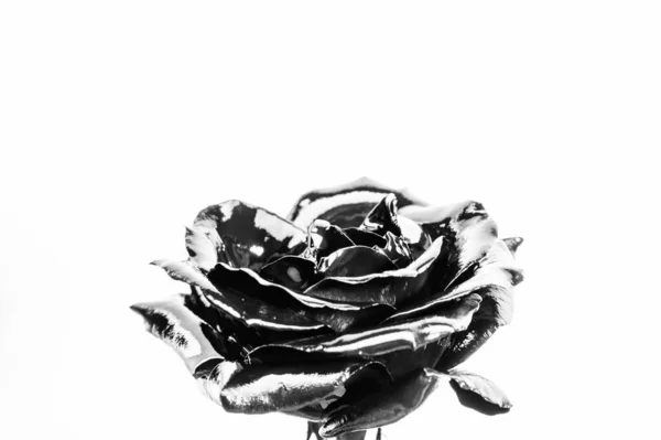 Forja y escultura. Hermosa flor de plata negra. Tienda de flores. Color metálico de acero. Pintura metálica cubierta de flores de cerca. Flor de metal. Arte abstracto. Belleza eterna. Concepto botánico — Foto de Stock