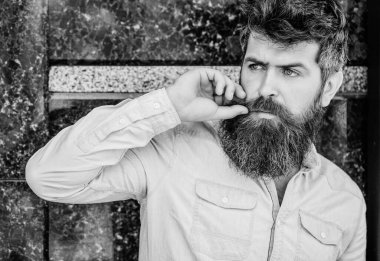 Sakallı adam dışarıda. Sakal bakımı ve berber dükkanı. Sakallı olgun hipster. mükemmel tarzı ile acımasız erkek. erkek moda ve güzellik. gür saçlı sakallı adam. Yeni saç kesimi zamanı