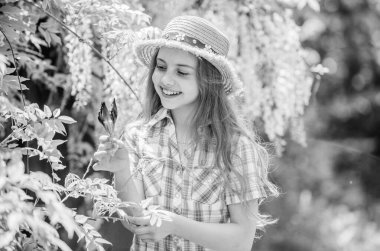 Çiçekçi. Bahar tatili. Kadınlar Günü 'nde. Doğal güzellik. Çocukluk mutluluğu. Mutlu çocuk Iris Çiçeği 'ni tut. Yaz tatili. Yeşil çevre. Küçük kız ve Iris Flowers. Anı yaşamak