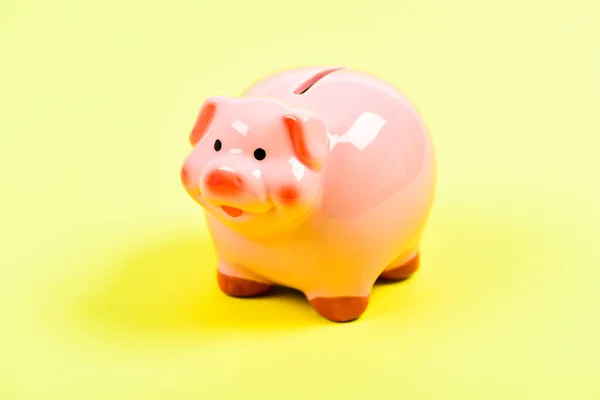 Finances and investments bank. Bank deposit. Financial education. Piggy bank adorable pink pig close up. Accounting and family budget. Piggy bank symbol of money savings. More ideas for your money