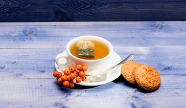 Seramik fincan sıcak demlenmiş çay içeceği. Sağlık hizmetleri kocakarı ilaçları. Aromatik rowanberry içeceği için. Mavi arka planda bir fincan çay yakın plan. Lezzetli gurme tadı. Kafe menüsü. Çilek çayı.