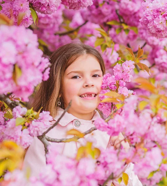 Dziewczyna ciesząc się kwiatowym aromatem. Dziecko na różowe kwiaty Sakura drzewo tło. Dziecko cieszyć się życiem bez alergii. Wąchania kwiatów. Lekarstwo na alergie. Koncepcja alergii pyłku. Pozbyć się alergii sezonowej — Zdjęcie stockowe