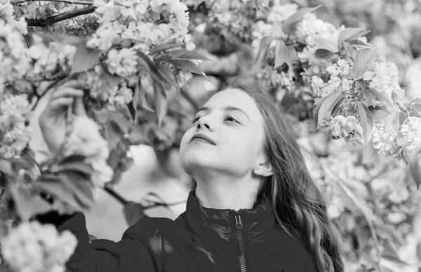 Cosméticos naturais de pele. Criança menina pequena na flor de primavera. Desfrute do cheiro de flor macia. Conceito de flor Sakura. Linda flor e beleza feminina. Menina em flor de cereja. Árvore Sakura florescendo — Fotografia de Stock