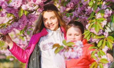 çiçek kokusu, alerji. Kardeşlik. bahar çiçek Bloom küçük kız çocuklar. Cilt için doğal kozmetik. kiraz çiçeği mutlu kız kardeşler. Sakura çiçeklenme. Yaz. Çocukluk güzelliği. Aile günü