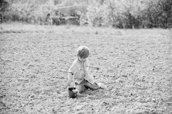 Ültetés a mezőn. Magoncok ültetése. Kisfiú virágot ültet a mezőn. Szórakozás a farmon. Boldog gyerekkori koncepciót. Egy kis segítség a kertben. Gyermek szórakozás kis lapát és növény pot — Stock Fotó