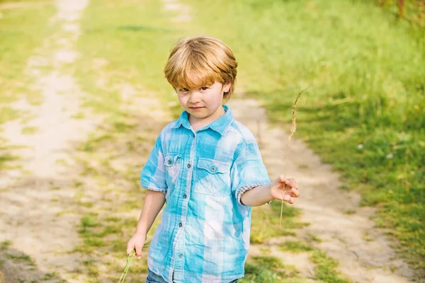 小さな男の子は手に小さな草を持っています。新しい生活。人間と自然。屋外を歩く小さな子供。地球の日。エコの未来。夏の活動。農業と農業。幸せな子供農家。春の収穫 — ストック写真