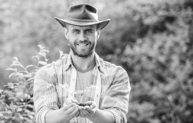 başarılı çiftçi elinde toprak bitki tutun. Eko çiftlik işçisi. Dünya günü. mutlu dünya günü. Eko yaşam. tarım ve tarım saldirisi. Bahçe. kovboy şapka bakım bitkileri kas çiftlik adam.