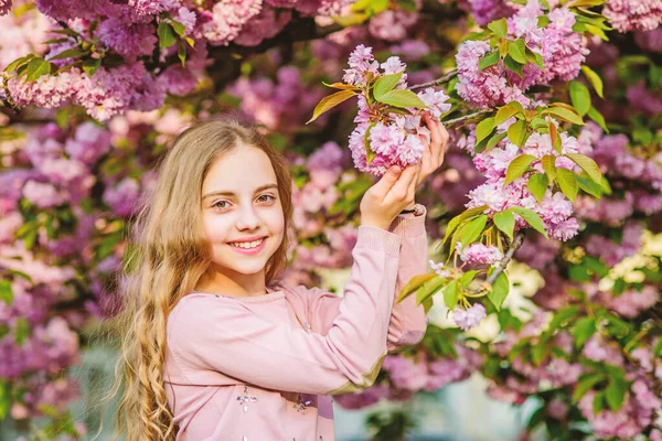 Happy Spring Vacation. Parken och trädgården. Flicka litet barn i vårblomma Bloom. Njut av lukten av anbud Bloom solig dag. Sakura Flower Concept. Vacker blomma skönhet. Flicka körsbär blomma bakgrund — Stockfoto