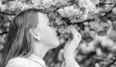 Botanik bahçesinde bahar. Bahar böyle kokar. İhale çiçeklenme. Küçük kız baharın tadını çıkarır. Sakura ağacı arka plan pembe çiçekler üzerinde Çocuk. Çocuk kiraz çiçeği sakura zevk. Mutlu bahar tatili