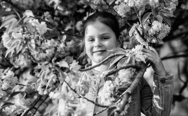 Spa de cuidados com a pele. Cosméticos naturais de pele. menina feliz em flor de cereja. Árvore Sakura a florescer. menina pequena na flor de primavera. Verão. Beleza infantil. cheiro a flor, alergia. Coleção de verão — Fotografia de Stock