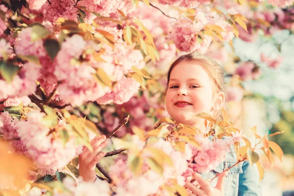 Девочка маленькая девочка в весеннем цветке цветет. Наслаждайтесь запахом нежного солнечного дня. Сакура цветок концепции. Прекрасная цветочная красота. Девушка вишневый цветочный фон. Цветущее дерево Сакура. Парк и сад — стоковое фото
