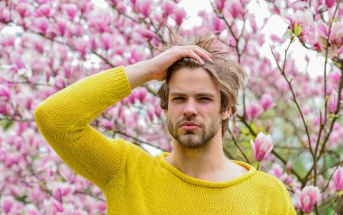 Ben bir pınarım. Taze çiçek. traşsız erkek manolya ağacı. Sakura arka planı. İyi havanın tadını çıkar. Çiçek açan seksi adam. Bahar modası. Erkek cinselliği.