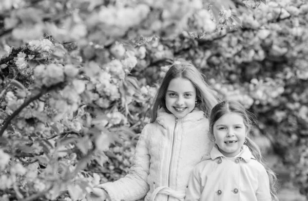 Enfants sur des fleurs roses de fond d'arbre sakura. Les enfants apprécient le sakura de fleurs de cerisier. Concept botanique. Fleurs nuages rose doux. Les enfants apprécient le printemps chaud. Perdu en fleurs. Les filles posant près de sakura — Photo