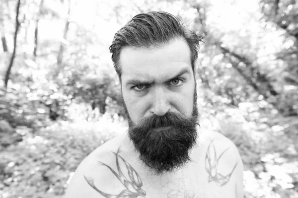 Mijn baard mijn look. Ongeschoren hipster met getextureerde baard haar op zomer natuur. Bearded man met stijlvolle snor en baard vorm. Serieuze blanke man met baard op natuurlijk landschap — Stockfoto