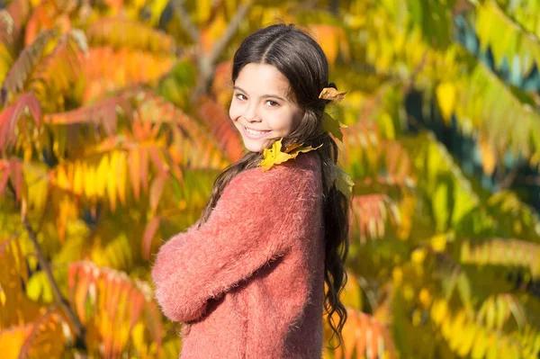 秋の暖かい。秋の公園でスタイリッシュな笑顔の女の子。季節を選ばない暖かい乾燥した天候のインドの夏の期間。秋の自然。屋外で幸せな小さな子供。晴れた週末だ。女の子は公園でリラックス晴れた日 — ストック写真