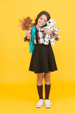 İlginç bir öğrenme, ilginç bir oyun. Küçük çocuk oyuncak ve sonbahar yapraklarını tutuyor. Okulda yumuşak köpekle mutlu küçük çocuk oyunları. Oyna ve kreşi öğren