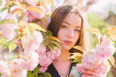 çiçek kokusu, alerji. cilt bakımı ve spa. Cilt için doğal kozmetik. kiraz çiçeği kız. Sakura ağacı açıyor. doğal yaz güzelliği. bahar çiçek çiçek kadın. Çok güzelsin