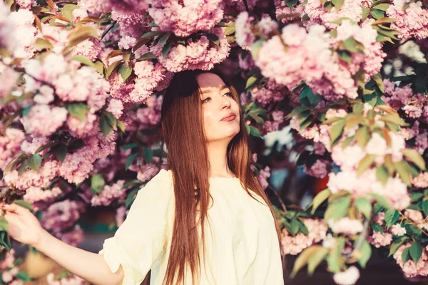 Vrouw in lente bloem Bloom. Natuurlijke cosmetica voor de huid. Bloemenparadijs. Bloemenwinkel. Meisje in kersenbloesem bloem. Sakura boom bloeien. Zacht en mals. Prachtige bloem en vrouwelijke schoonheid — Stockfoto