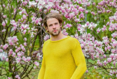 Baharın tadını çıkarıyorum. Sakura arka planı. İyi havanın tadını çıkar. Çiçek açan seksi adam. traşsız erkek manolya ağacı. Bahar modası. Erkek cinselliği. Taze çiçek.