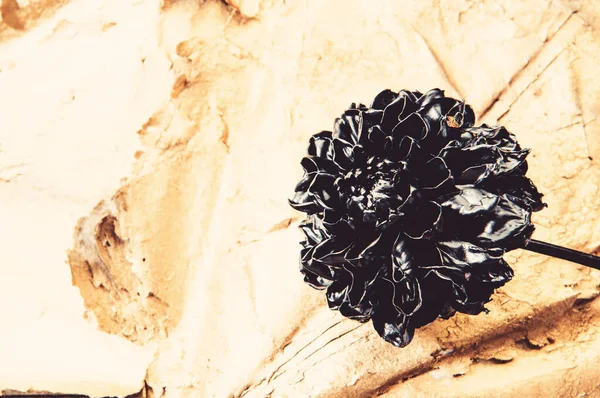 Zwart metallic chrysant bloem. luxe en succes. gemetalliseerde antieke decor. rijkdom. Floristiek Business. Vintage. Grunge schoonheid. vintage stijl — Stockfoto