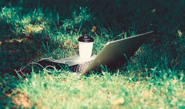 Coffee break outdoors. Summer park. Work and relax in natural environment. Green office. Its coffee time. Coffee take away. Laptop modern smartphone with earphones and coffee cup on green grass