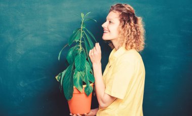 İyi bakım bitkileri alın. Çiçekçi kavramı. Botanik bitkiler çiçekler ve otlar hakkında. Kız saksıda bitki tutun. Emin stres rahatlama ev ve barış ve huzur kutsal size sağlamak Bitkiler