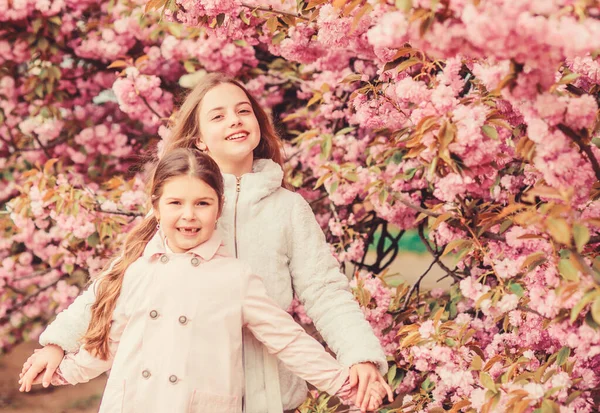 Kinder auf rosa Blüten des Sakura-Baumes Hintergrund. Botanik-Konzept. Kinder genießen Kirschblütensakura. blüht sanft rosa Wolken. Kinder genießen den warmen Frühling. Mädchen posieren in der Nähe von Sakura. Blütezeit verloren — Stockfoto
